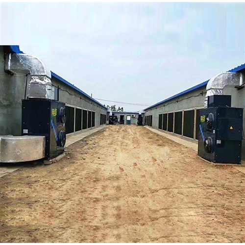山东某养鸡基地