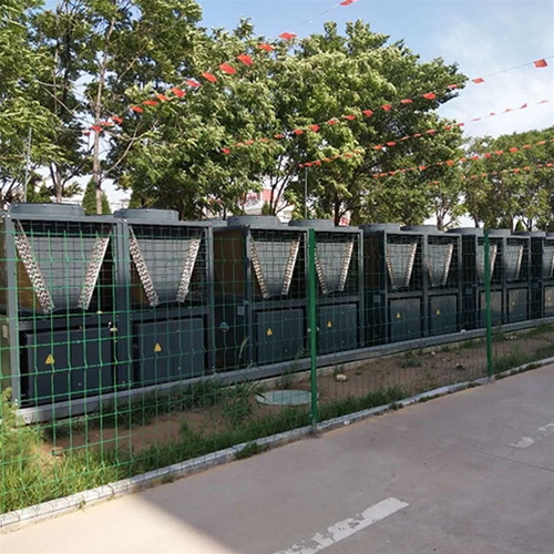 陵城区某小学